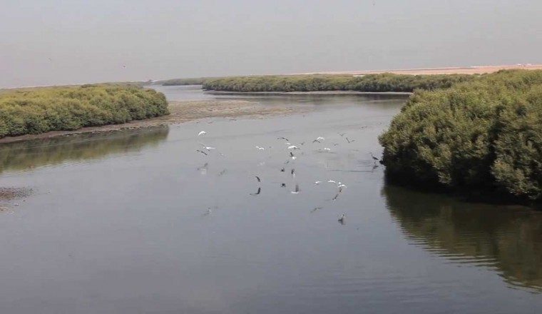 Ajman 2021 -  Strategic Plan