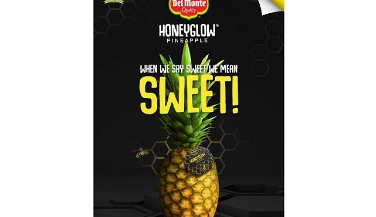 دل مونتي تشارك في معرض جلفود 2020