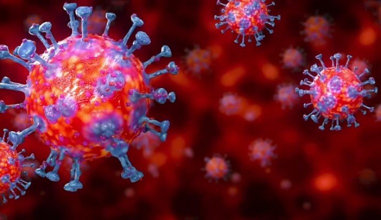 Is Coronavirus COVID-19 Crippling the World slowly?