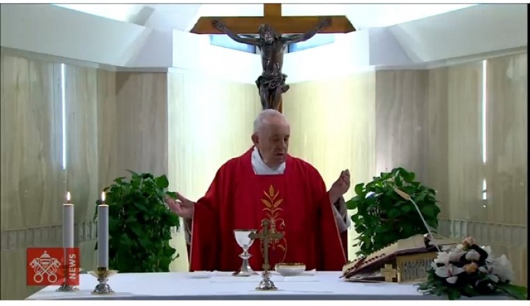 استجابة لدعوة اللجنة العليا للأخوة الإنسانية