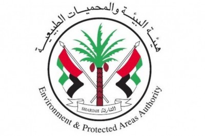 اكتشاف أول لتعشيش سلاحف 