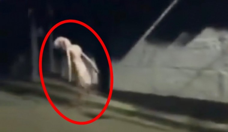 Top 15 Scary Videos That 99% of People Can’t Handle | BuzzBix