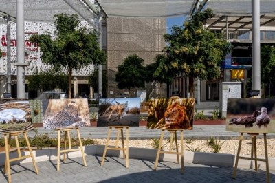 Kuwaiti photographer displays wildlife photos at Expo 2020 Dubai