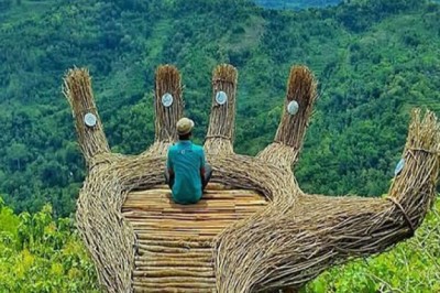 Amazing nature captured on camera