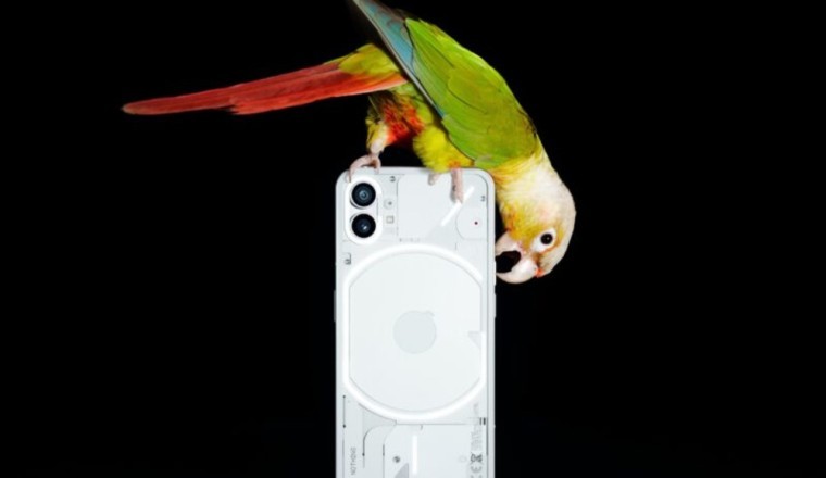 Nothing enters UAE with Sharaf DG