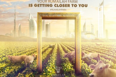 بعد نجاحها في الساحل الشرقي مزرعة الرميلة تقرر التوسع في جميع أنحاء الإمارات العربية المتحدة
