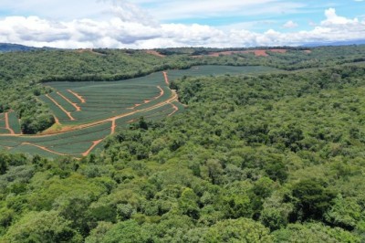 Fresh Del Monte Sets New Standards in Sustainability with 2022 Report