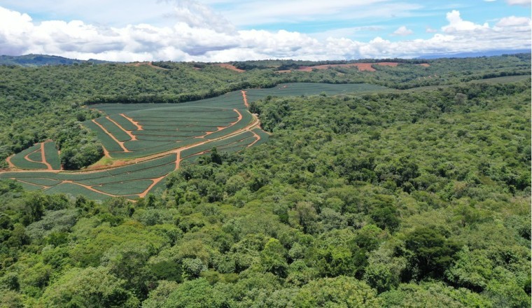 فريش ديلمونتي تحدد معايير جديدة للاستدامة في تقريرها لعام 2022