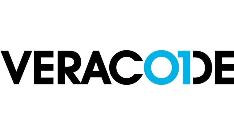 Veracode Embarks on a New Chapter with Appointment of Brian Roche as Chief Executive Officer