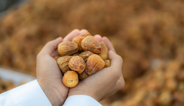 The Arabian Silk Road: First Global Path to Responsible Consumption and Production