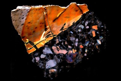 Fossilized bones are revealing secrets from a lost world